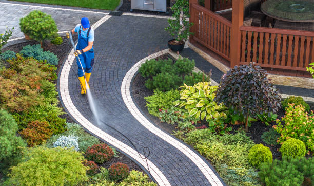 Best Roof Power Washing Services  in Chester, NY