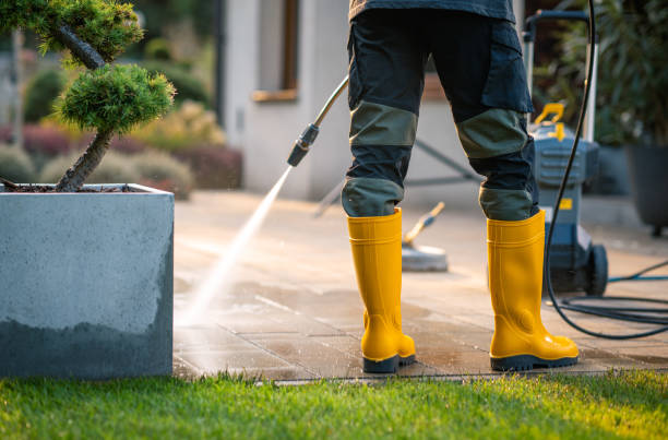Best Pressure Washing Company Near Me  in Chester, NY